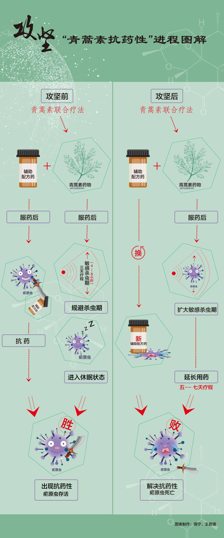 屠呦呦团队放大招：青蒿素抗药性等研究获新突破